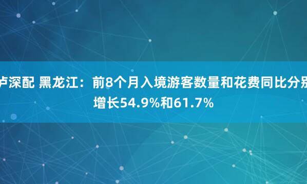 泸深配 黑龙江：前8个月入境游客数量和花费同比分别增长54.9%和61.7%