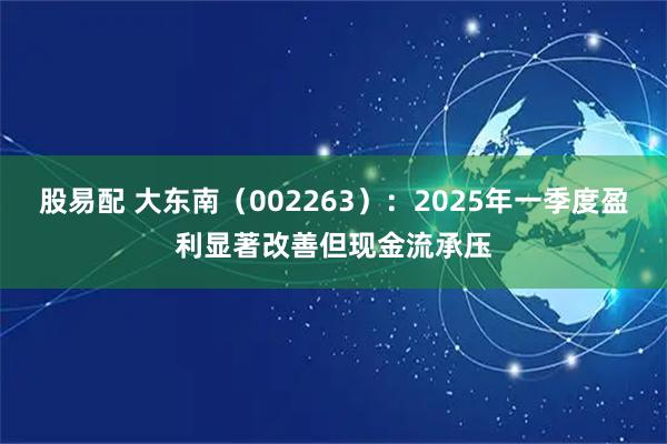股易配 大东南（002263）：2025年一季度盈利显著改善但现金流承压