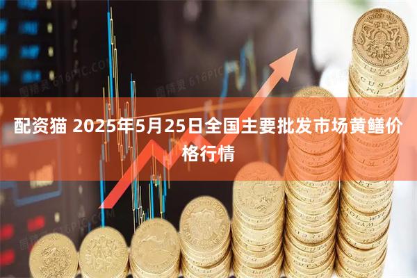 配资猫 2025年5月25日全国主要批发市场黄鳝价格行情