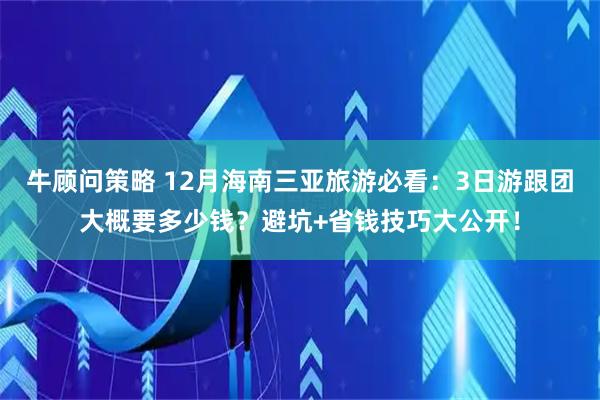 牛顾问策略 12月海南三亚旅游必看：3日游跟团大概要多少钱？避坑+省钱技巧大公开！